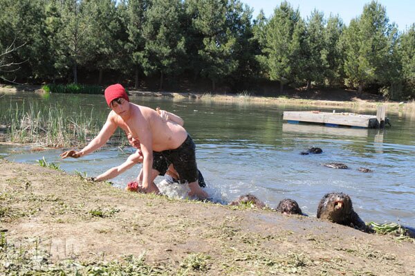 zombeavers