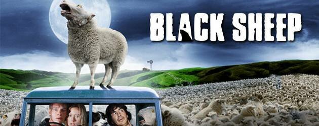black sheep