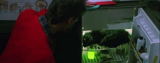 re animator ruffus