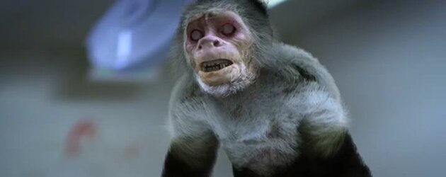 Zoombies
